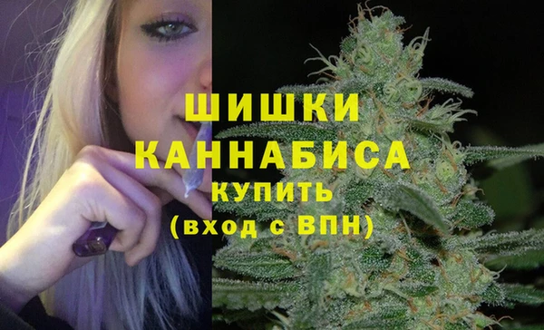 сатива Нягань