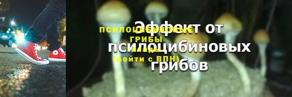 сатива Нягань