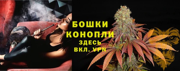 сатива Нягань
