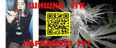 дмт Гатчина