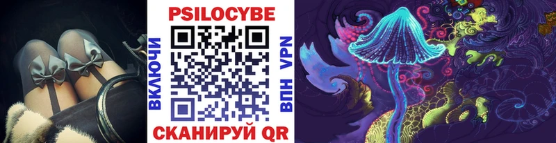 где продают наркотики  Шуя  Псилоцибиновые грибы MAGIC MUSHROOMS 