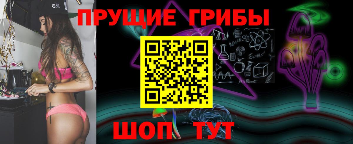 Шуя  Псилоцибиновые грибы мицелий  Галлюциногенные грибы MAGIC MUSHROOMS  наркота  Вход с VPN 