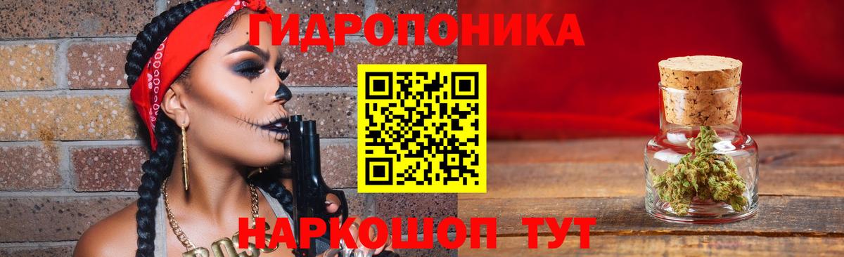 Канабис планчик  Шуя  Конопля индика 